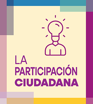 XDS participación ciudadana