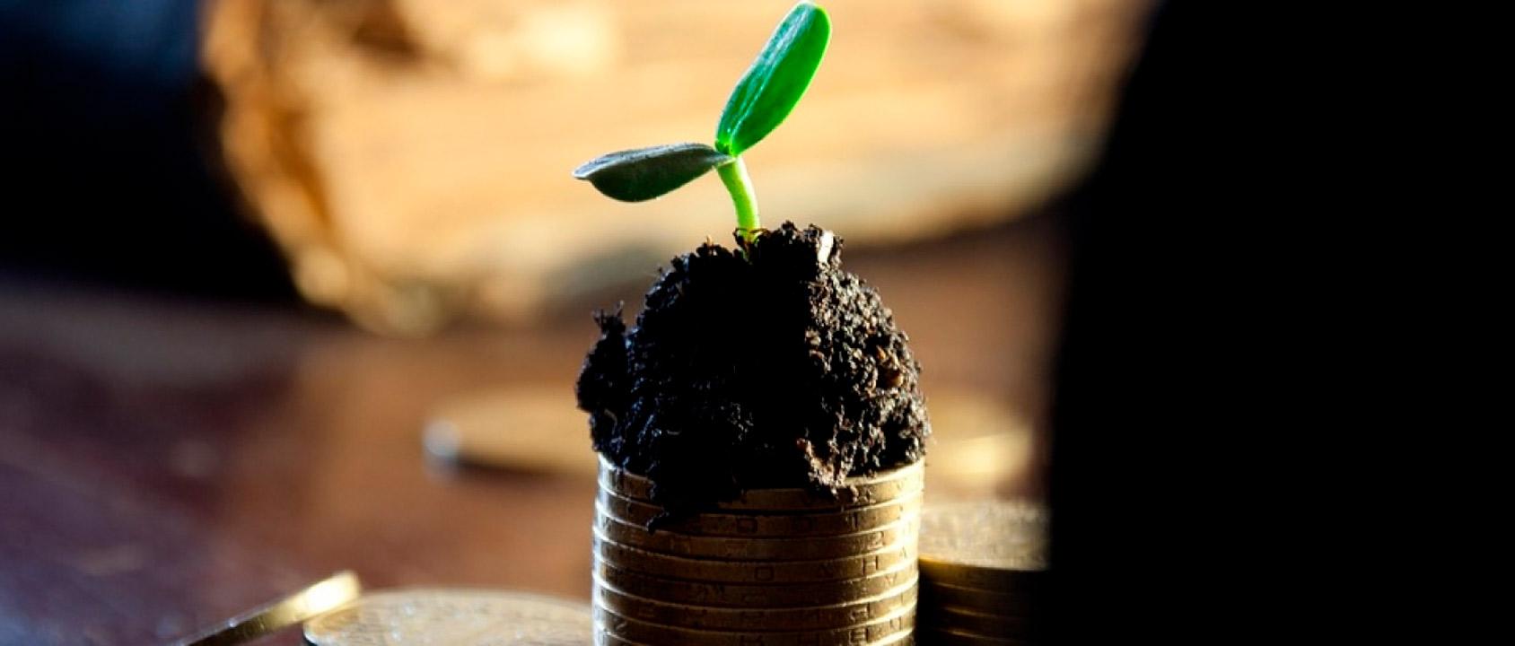 web EAPN IMV ContralaPobreza 2905