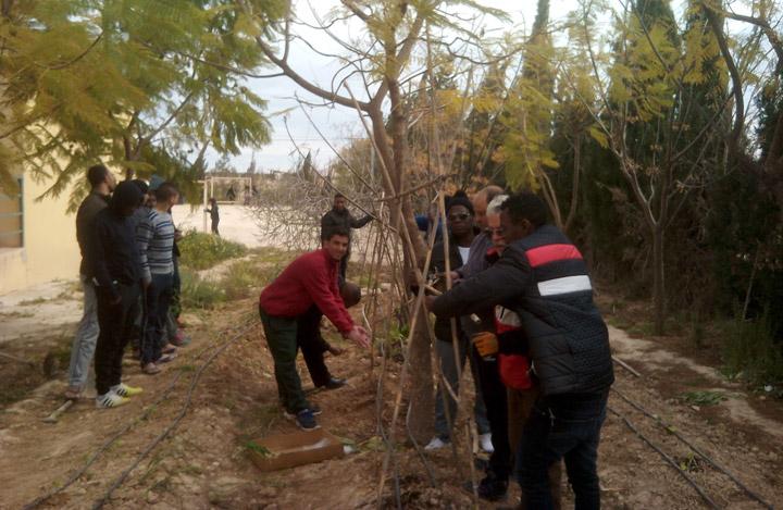 huertolosmelendrescepaim