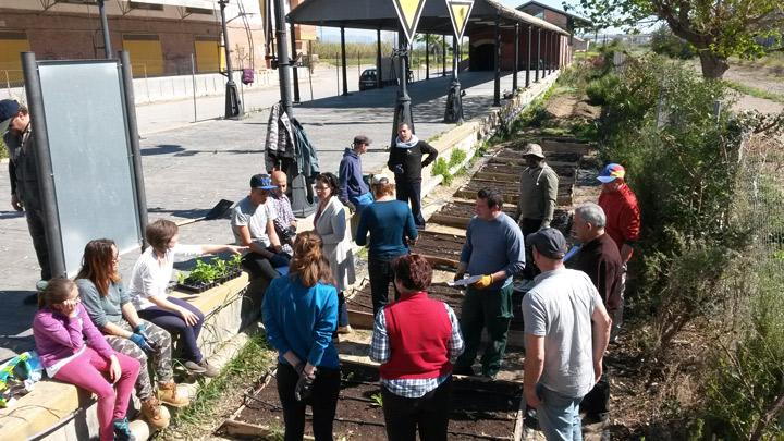 Cultivo ecologico Formacion Fundacion Cepaim en La Estacion Murcia