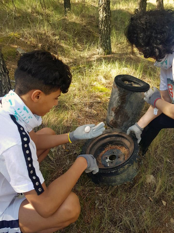Calatayud 4 Menas Libera Limpieza 2019